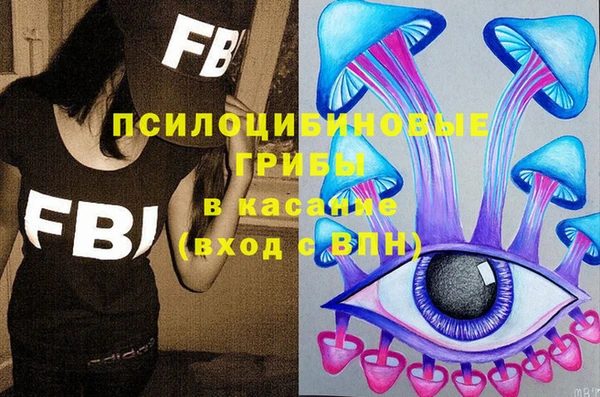 a pvp Алексин
