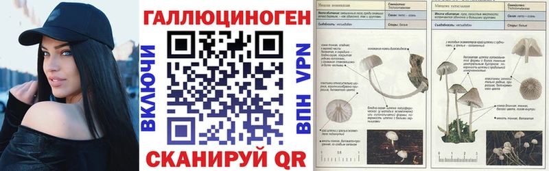 Галлюциногенные грибы прущие грибы  Выкса 