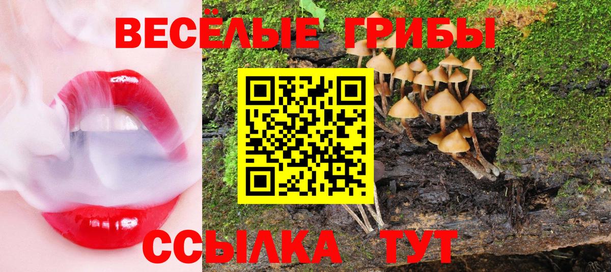 Галлюциногенные грибы прущие грибы Выкса