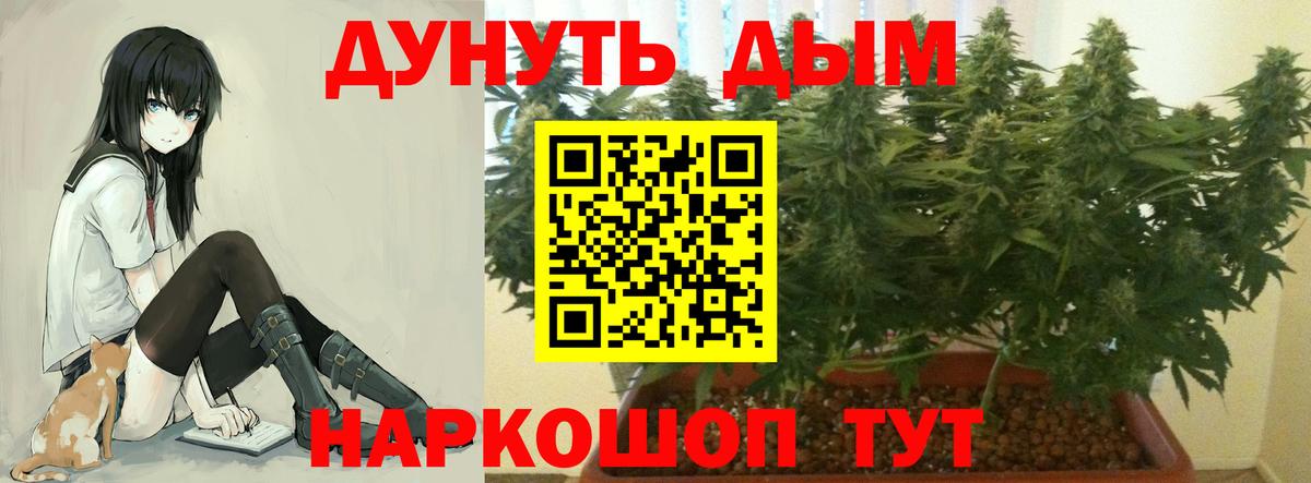 Бошки марихуана ГИДРОПОН Выкса